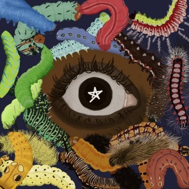 digital art of a human eye surrounded by worms and caterpillars