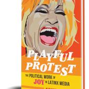 Playful Protest book cover
